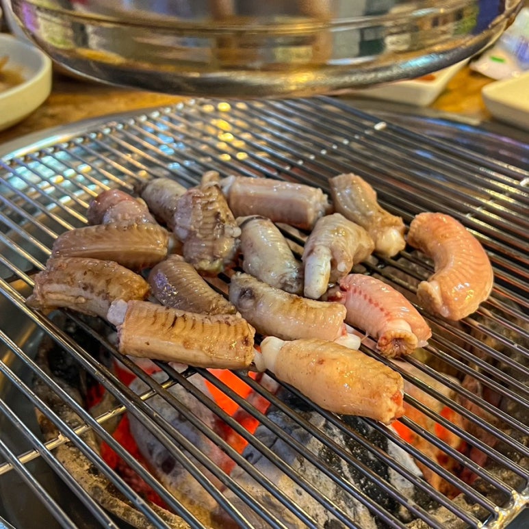 등대지기꼼장어 이미지