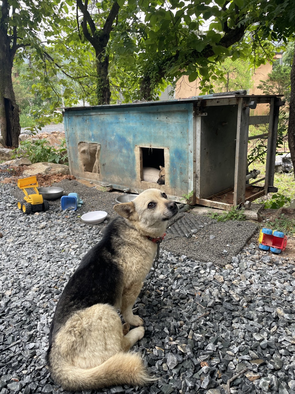 불루펜션&캠핑 이미지