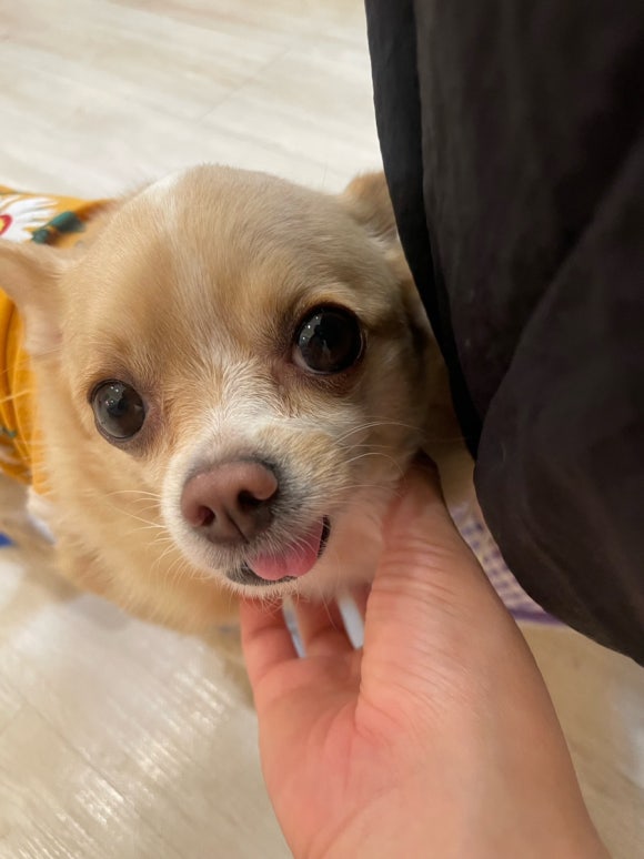 네일모네 이미지
