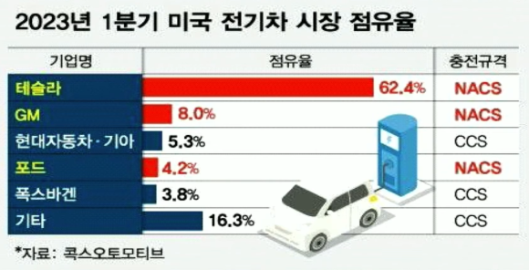 엘엔에프 네트웍스 이미지