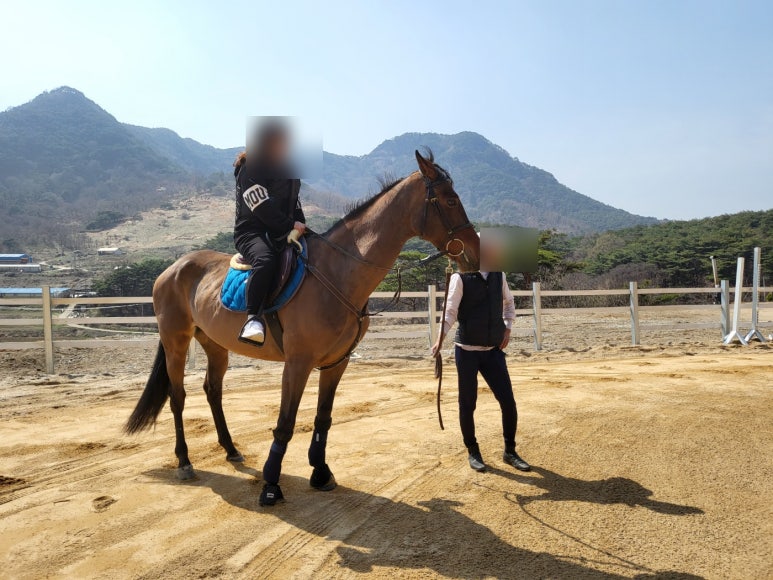 아미승마클럽 이미지