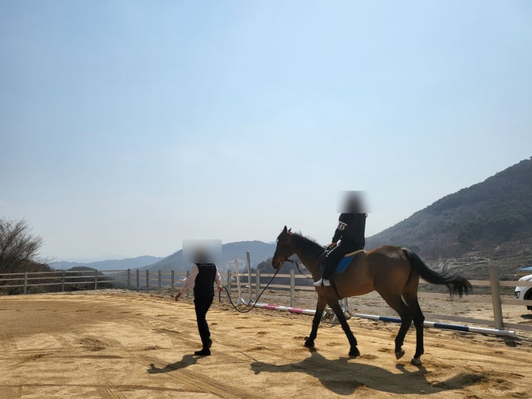 아미승마클럽 이미지