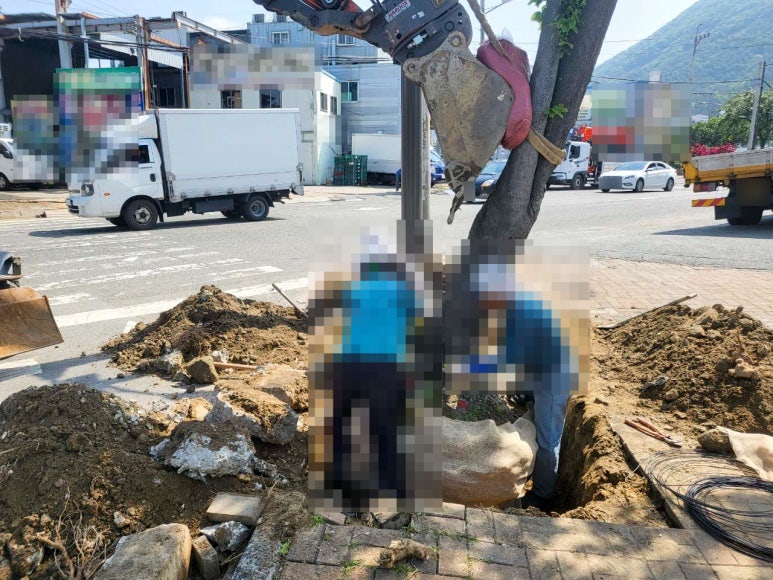 창조조경건설 이미지