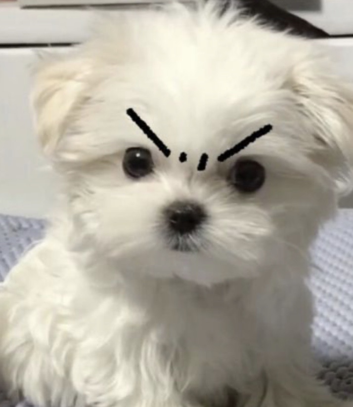 할머니떡집 이미지