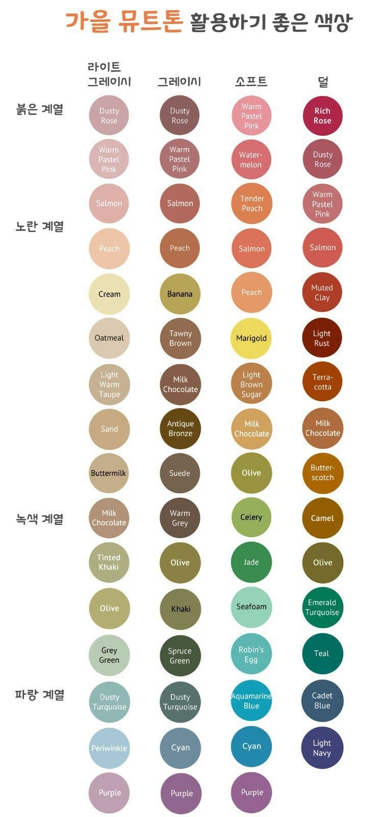 뮤트뷰티 이미지