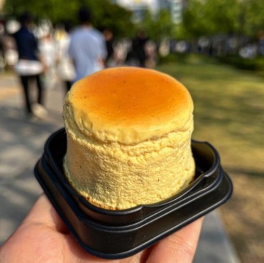 치플레 이미지