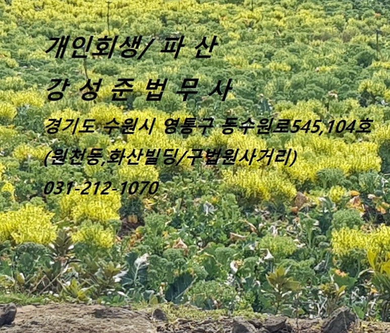 법무사강성준사무소 이미지