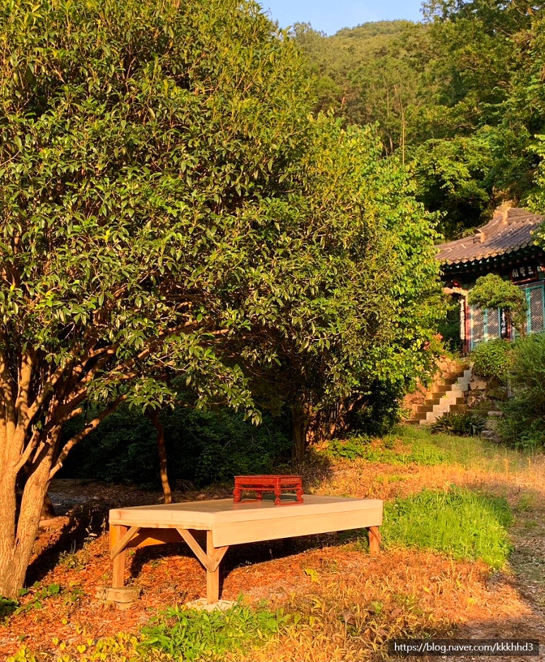 금불사 칼국수 이미지