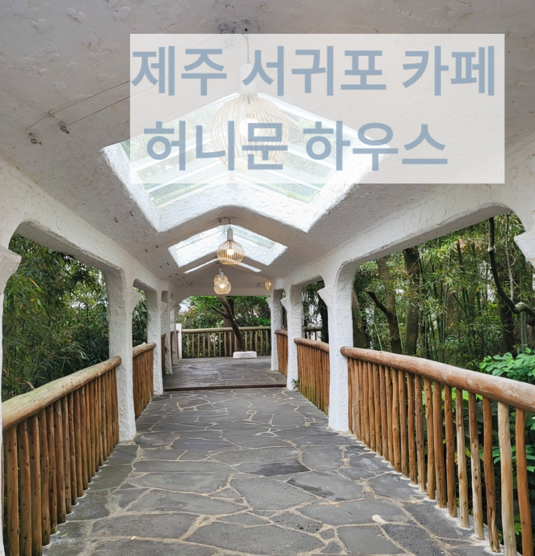 오션하우스 이미지