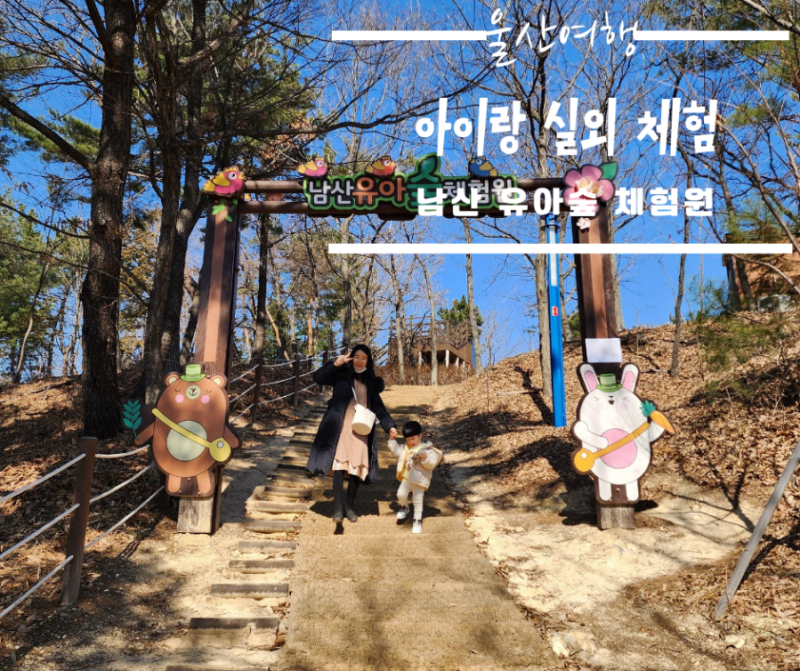 남산 유아숲체험원 이미지