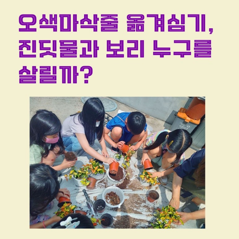 흙이랑나무랑 이미지