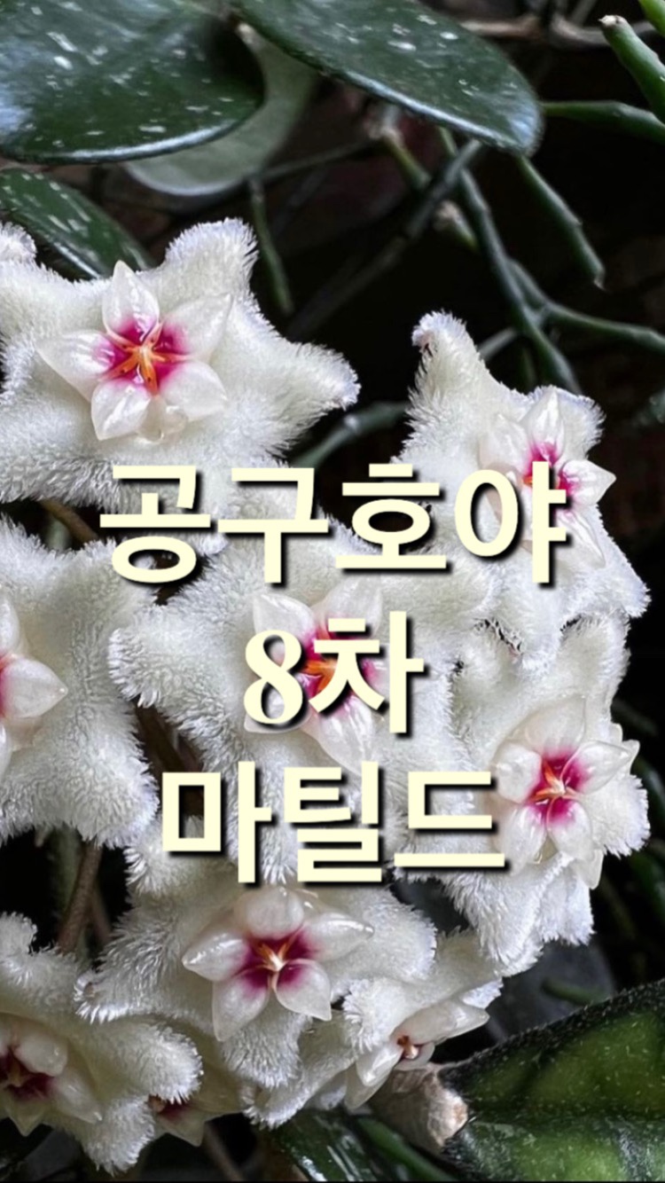 호야농원 이미지