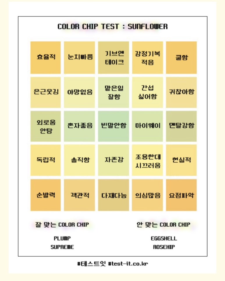 컬러링크 이미지