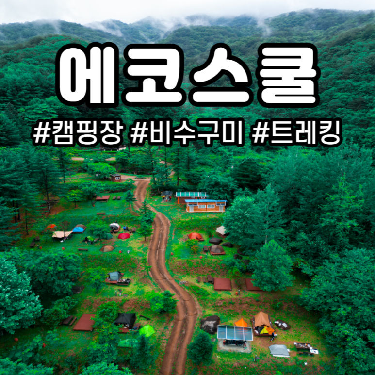 화천에코스쿨 생태체험장 이미지