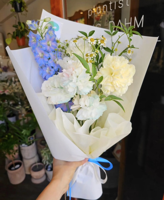 플랜티스트 이미지