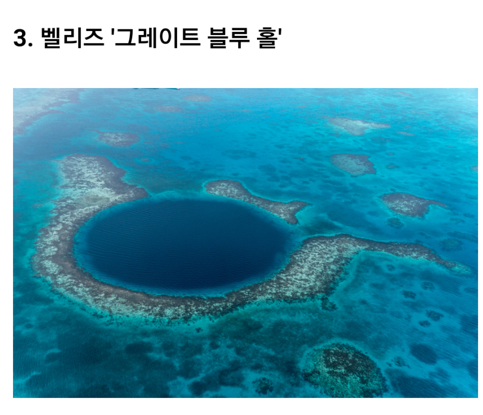 블루리프 이미지
