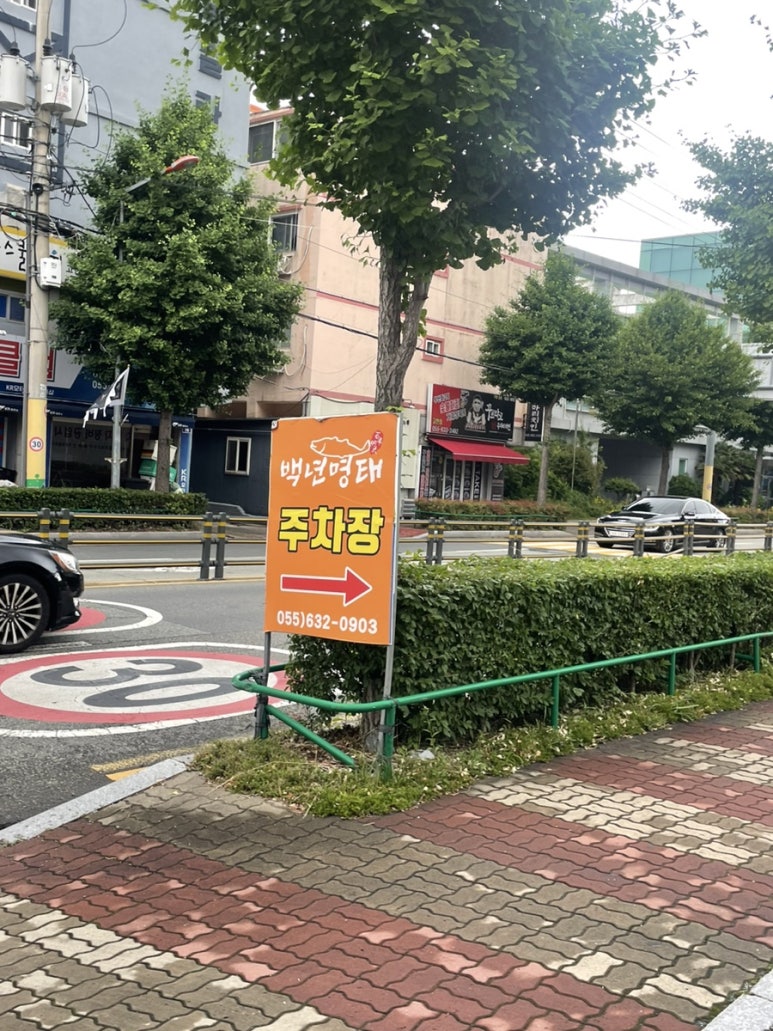 백년명태 이미지