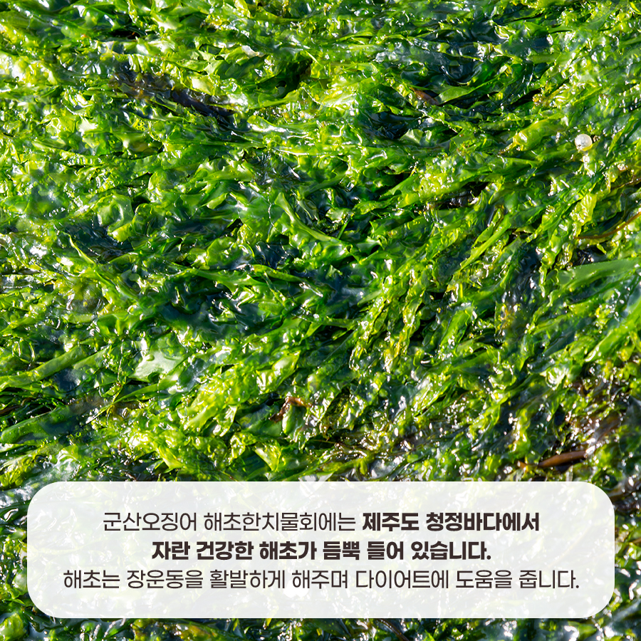 군산오징어점점 이미지