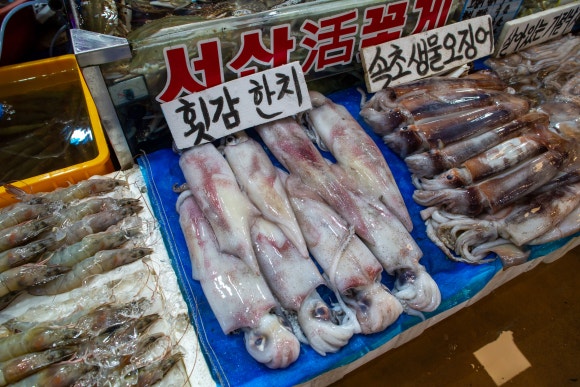대신수산 이미지