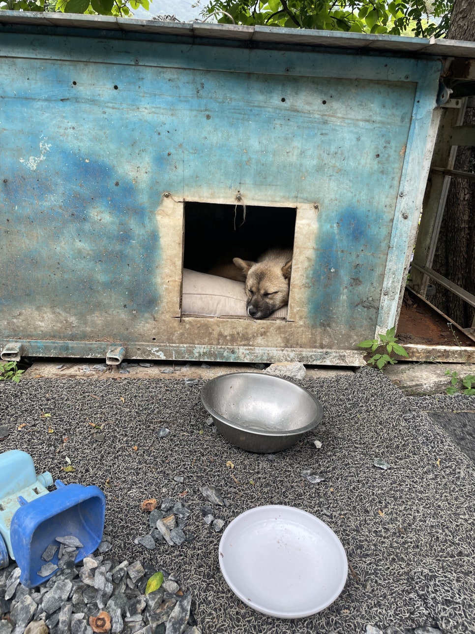 불루펜션&캠핑 이미지