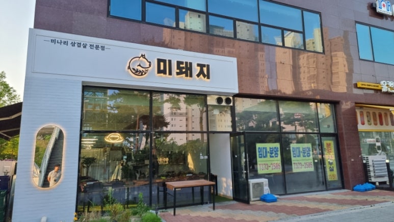 미돼지 이미지