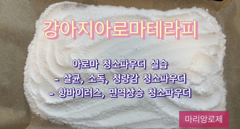 마리앙로제 이미지