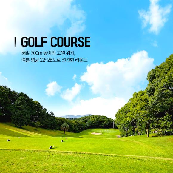 주식회사 트래블 골프 이미지