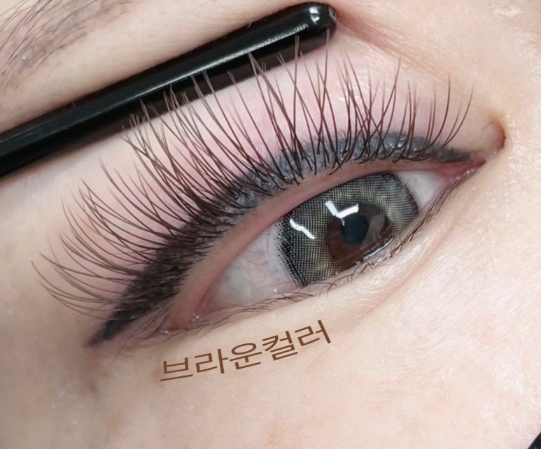 샤샤샵 이미지