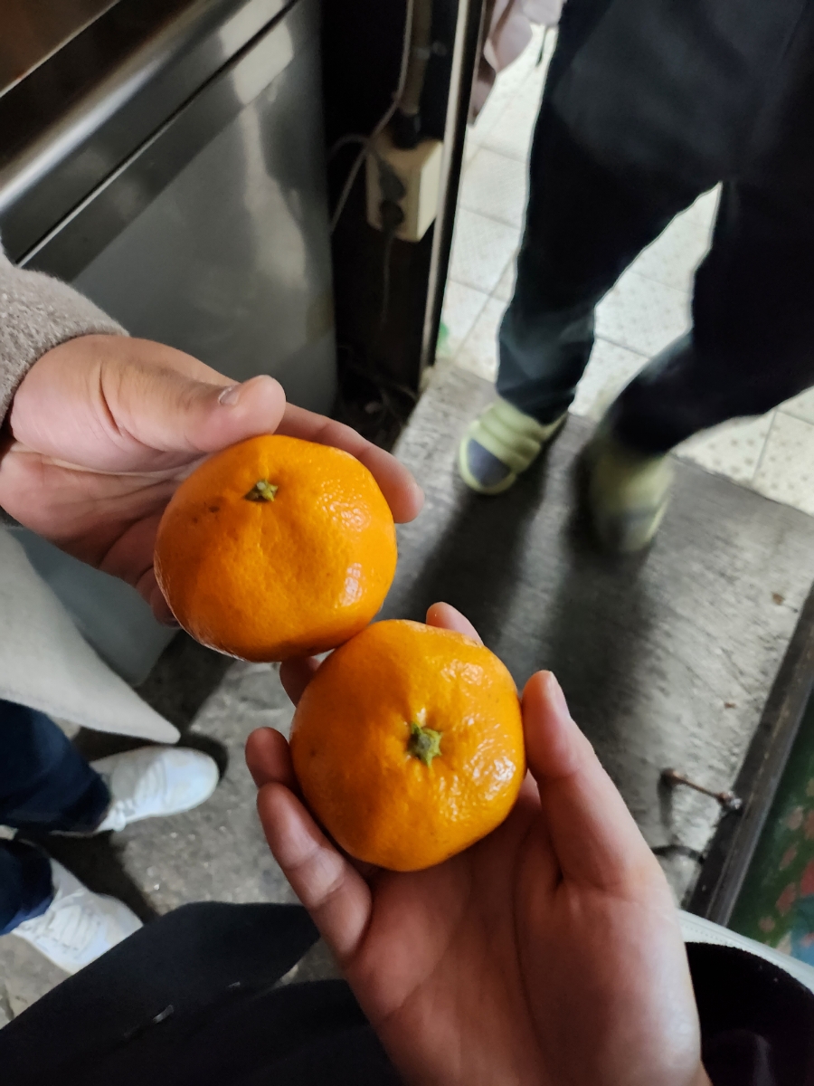 복돼지포장마차 이미지