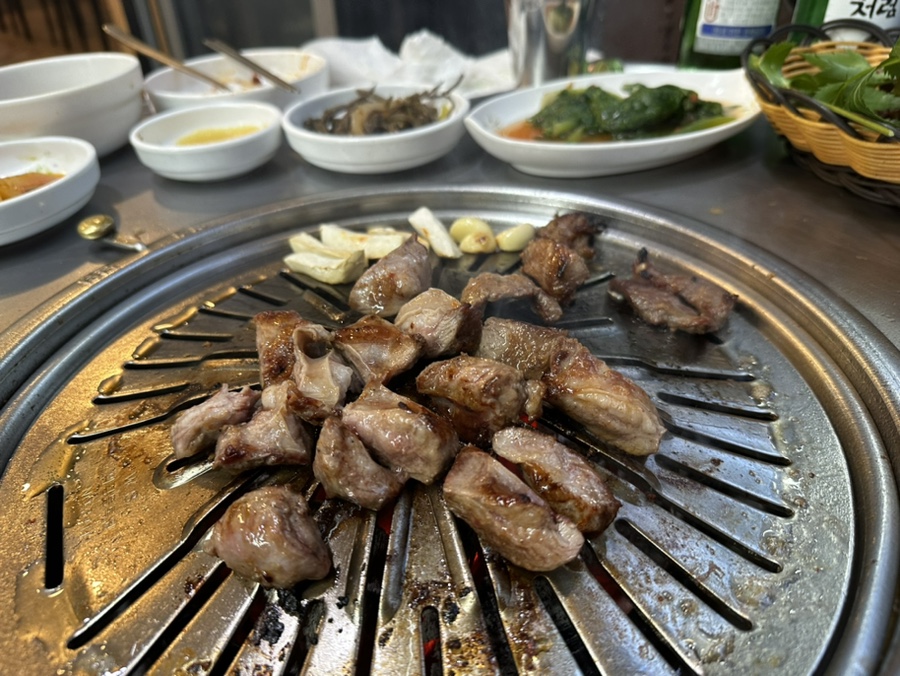 여수동진갈매기 이미지
