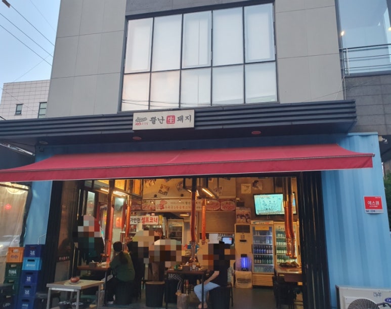 뿔난생돼지 이미지