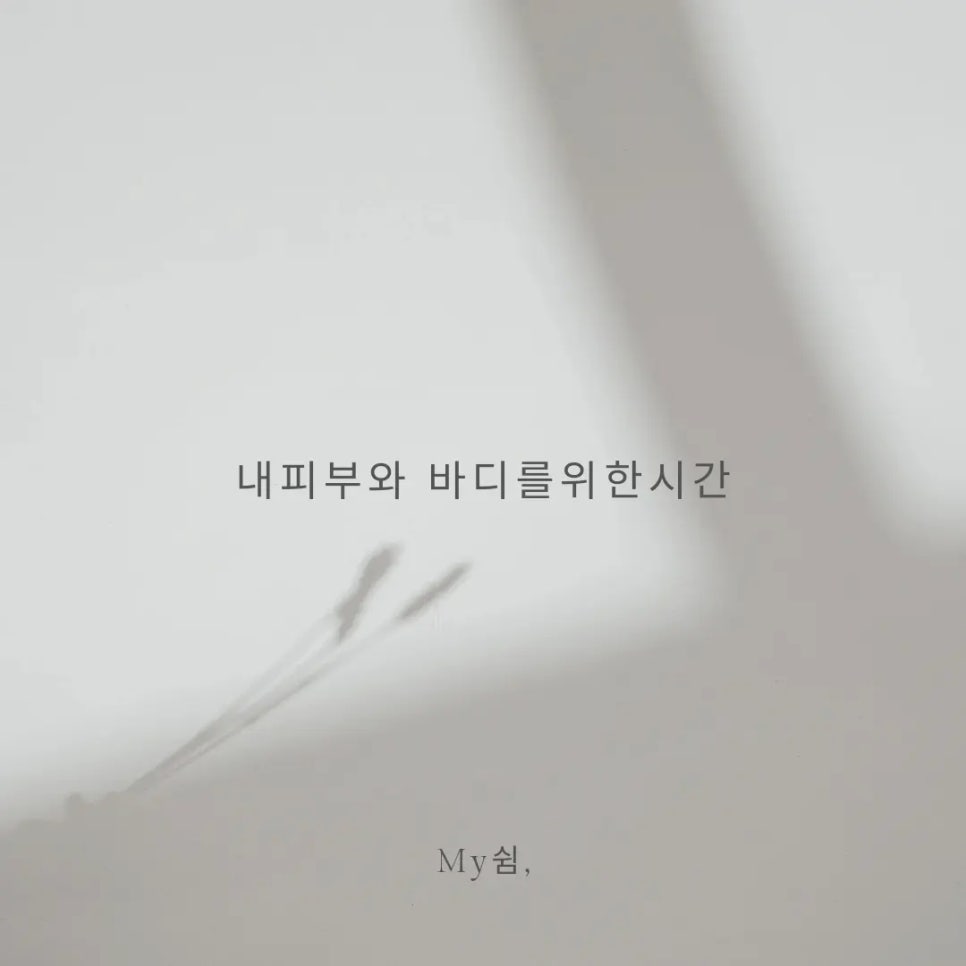 마이쉼 이미지