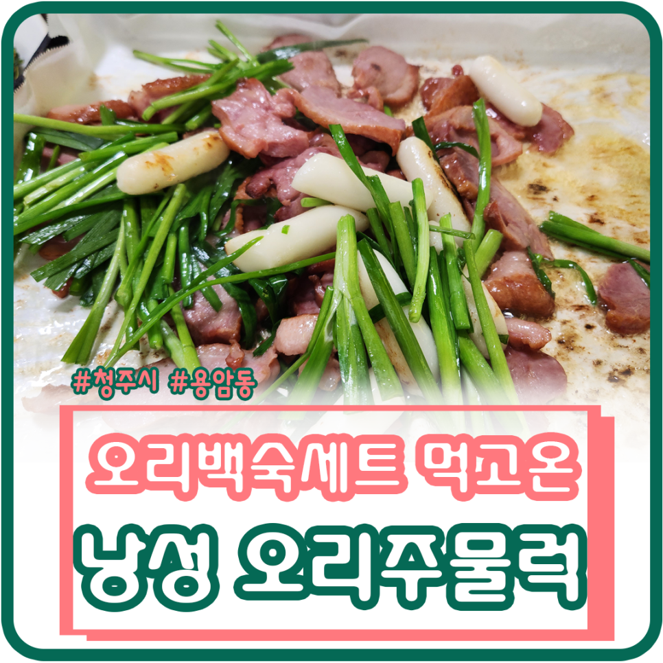 랑성오리 이미지