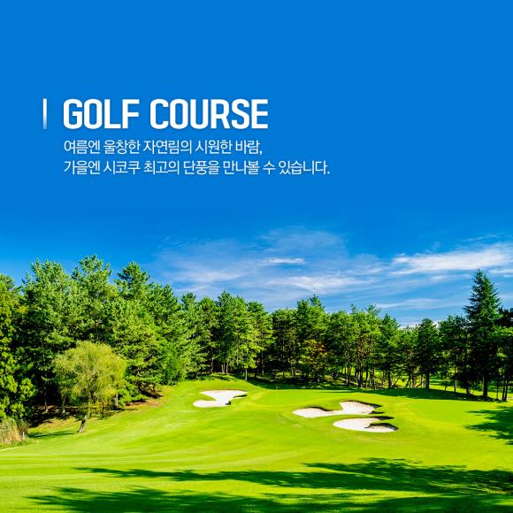 주식회사 트래블 골프 이미지