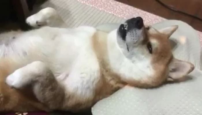 럭키월드 이미지