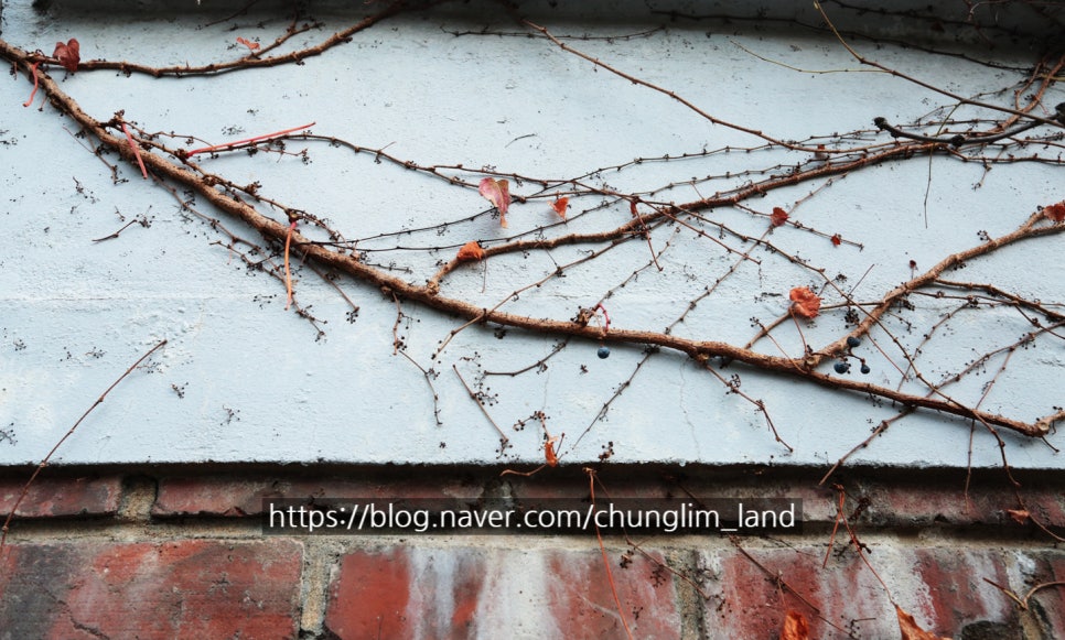 청림조경 이미지