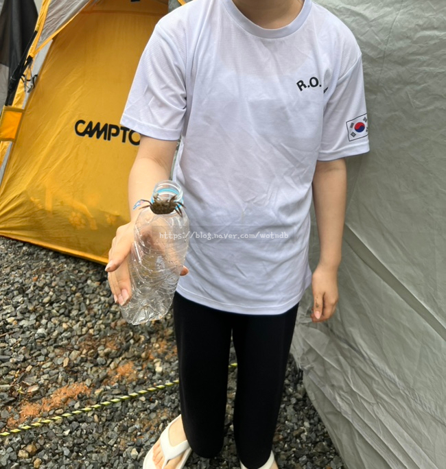 팔봉갯벌체험야영장 이미지