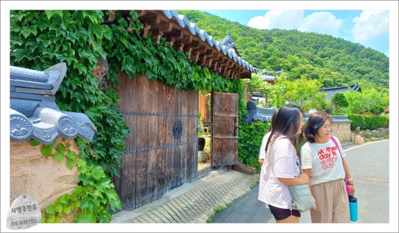 이모집 이미지