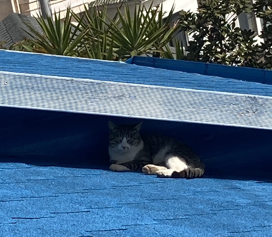 올레커피숍 이미지