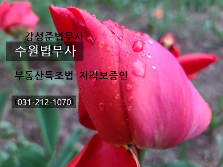 법무사강성준사무소 이미지