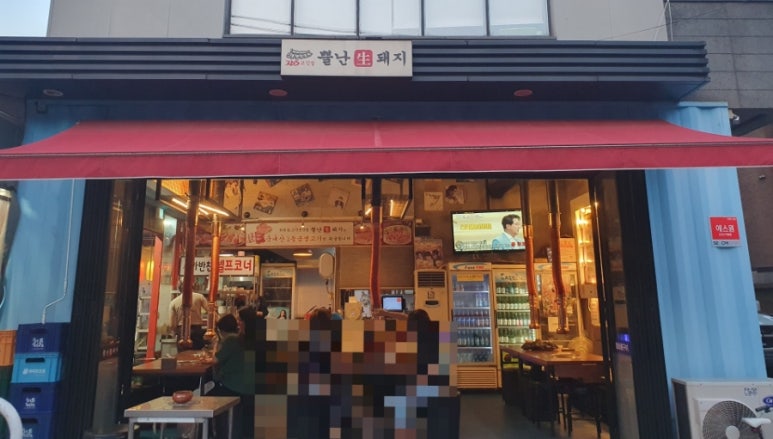 뿔난생돼지 이미지
