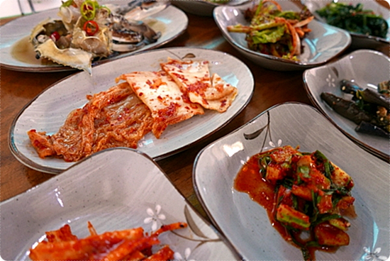 더미송 이미지