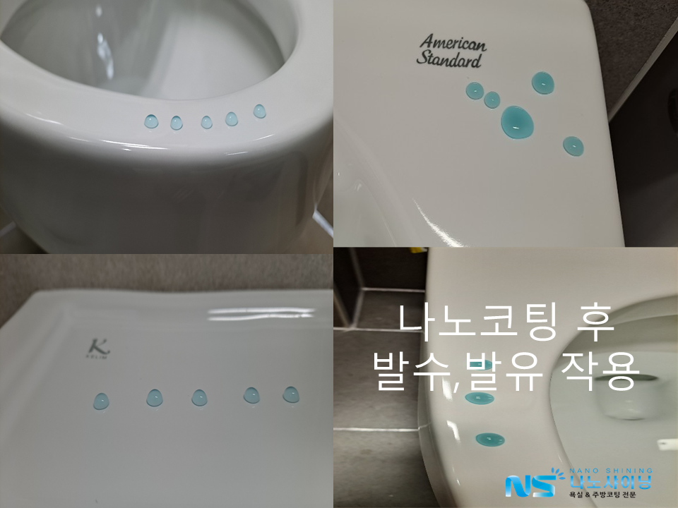 샤이닝에듀 이미지