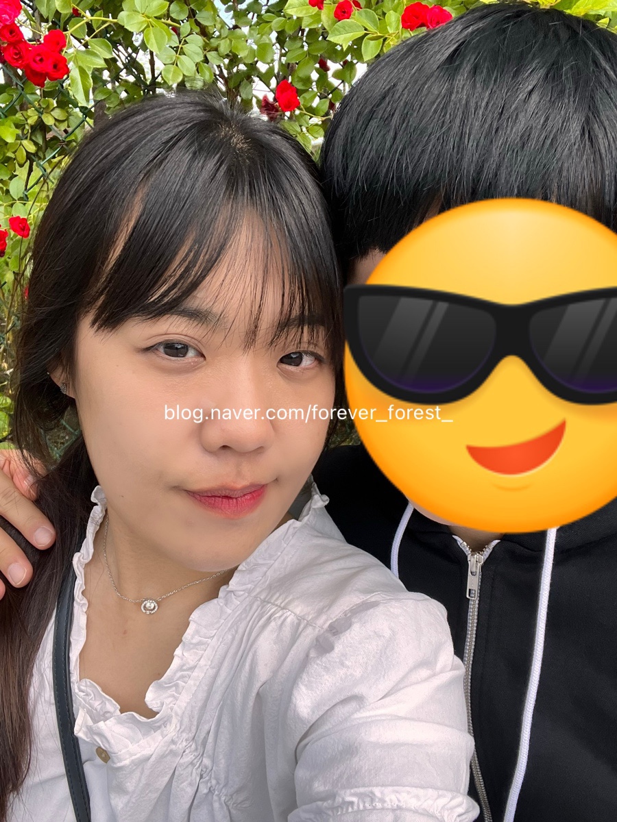 오씨갤러리 이미지