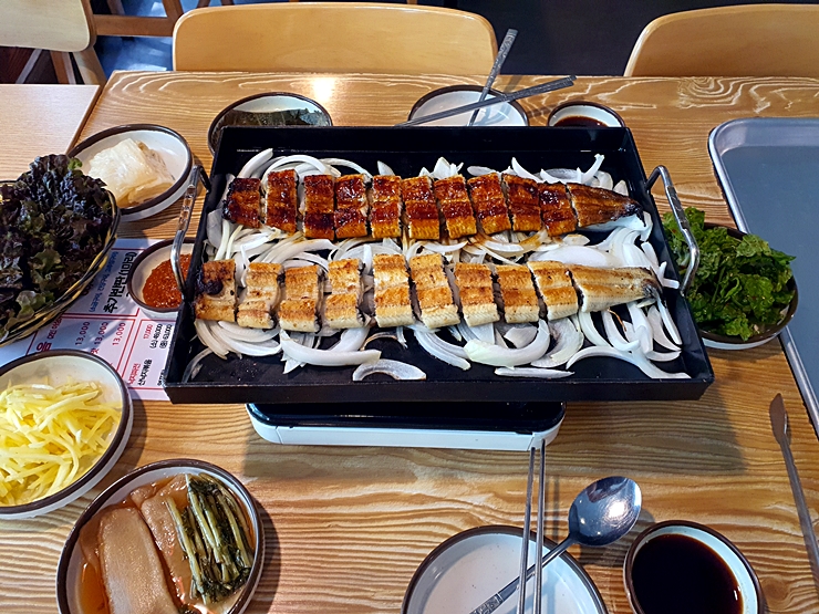 힘찬장어 이미지