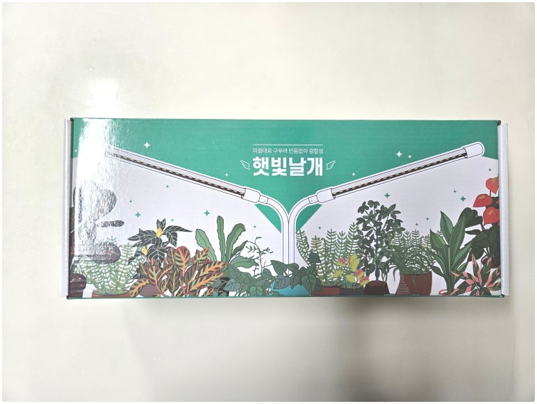 태양전파사 이미지