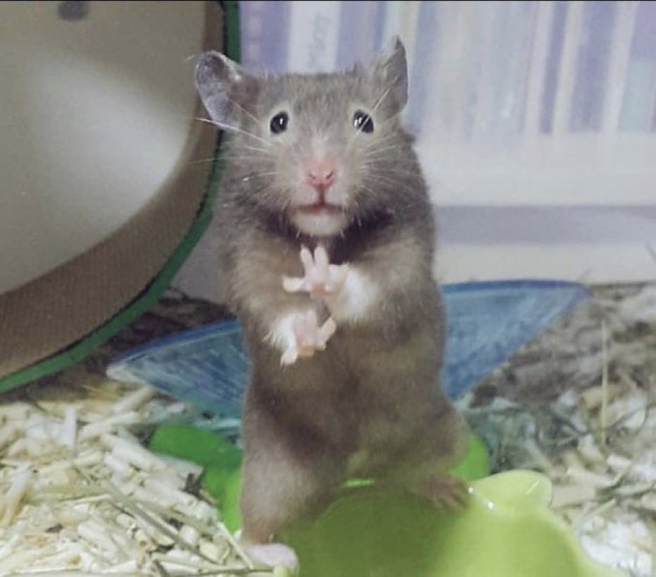 오타쿠 이미지