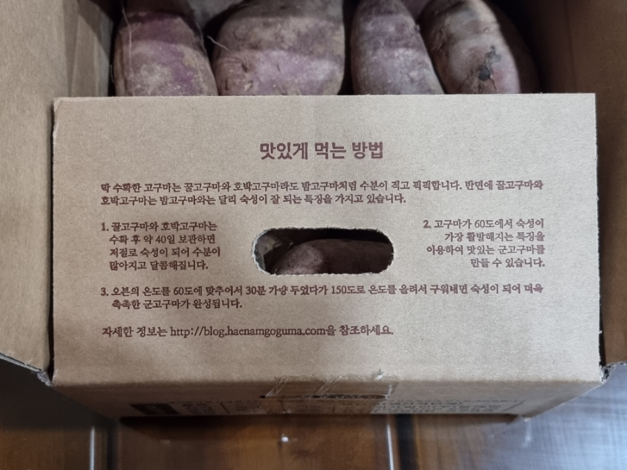 프리지아103 이미지