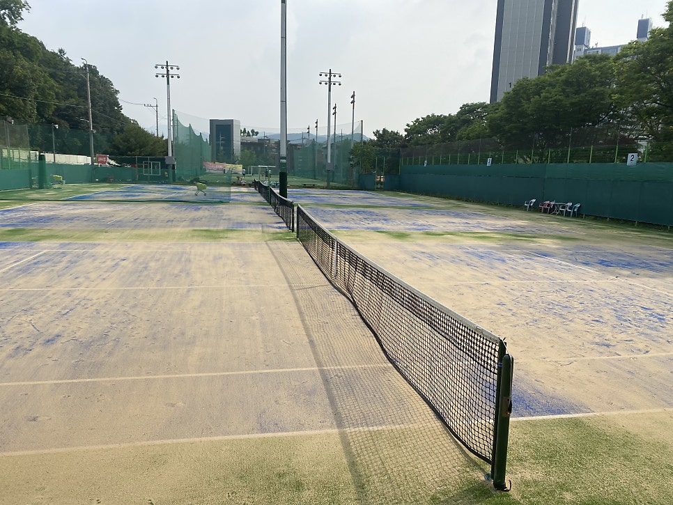 CS스포츠 이미지