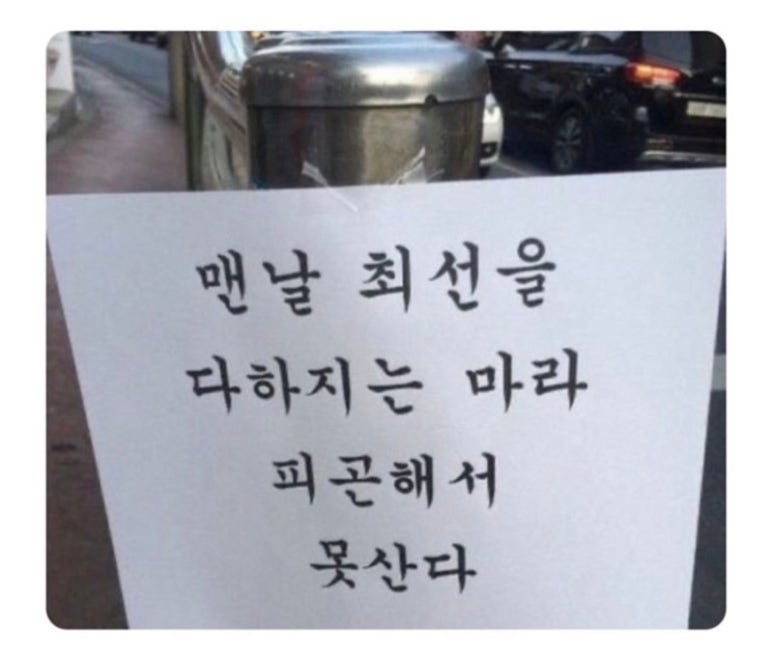 코히별장 이미지